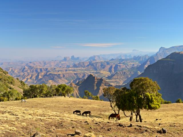 Simien Mountains