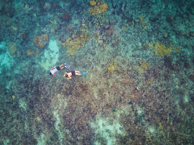 Snorkel around Little Corn Island