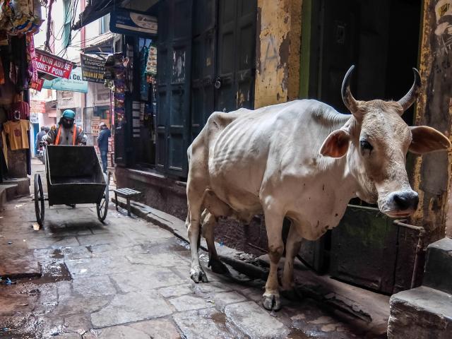Discover the hidden Varanasi