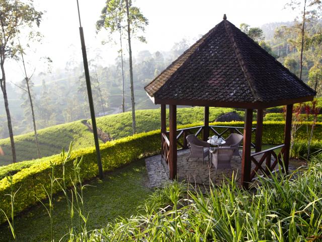 Ceylon Tea Trails