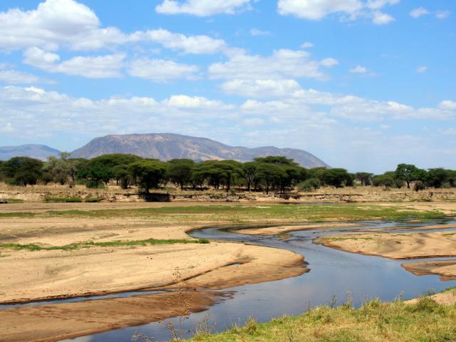 Ruaha National Park