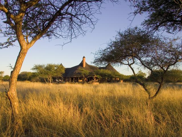 Okonjima Bush Camp