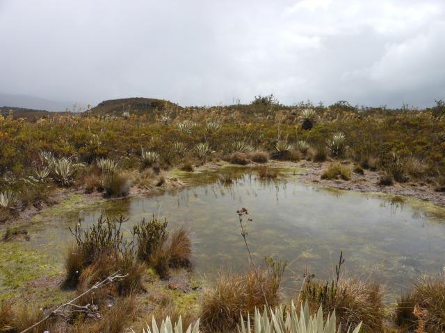 Daytrip to Chingaza National Park
