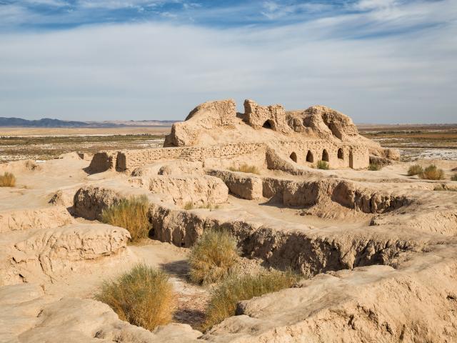 Discover the Desert Citadels