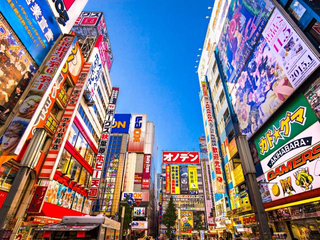 Experience Tokyo's art and culture