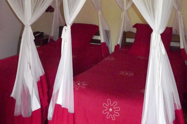 Vakona Forest Lodge