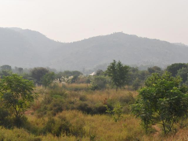 Khem Villas
