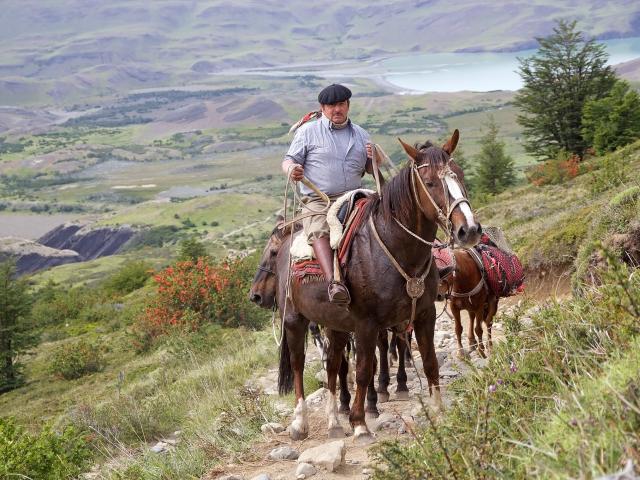 Horse ride at a Chilean ranch