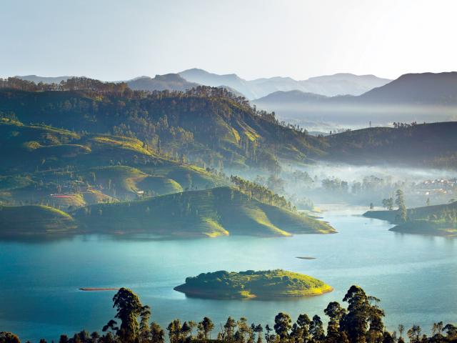Ceylon Tea Trails