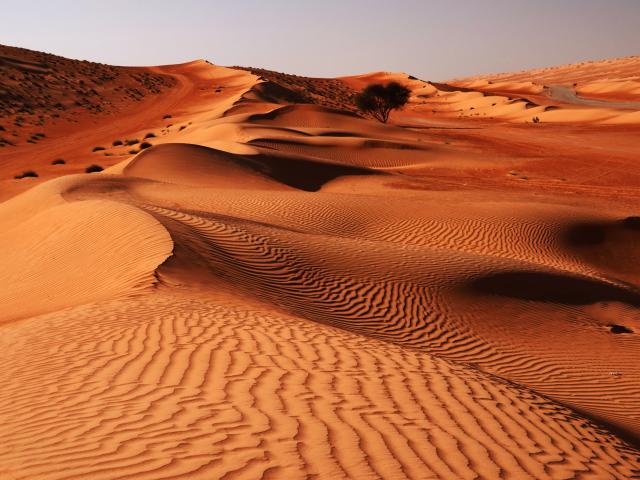Wahiba Sands