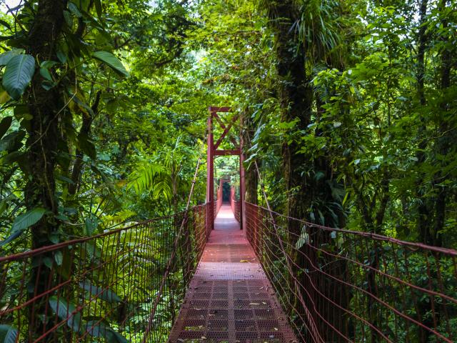 Monteverde