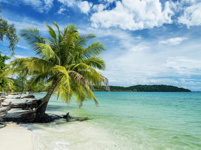 The Islands