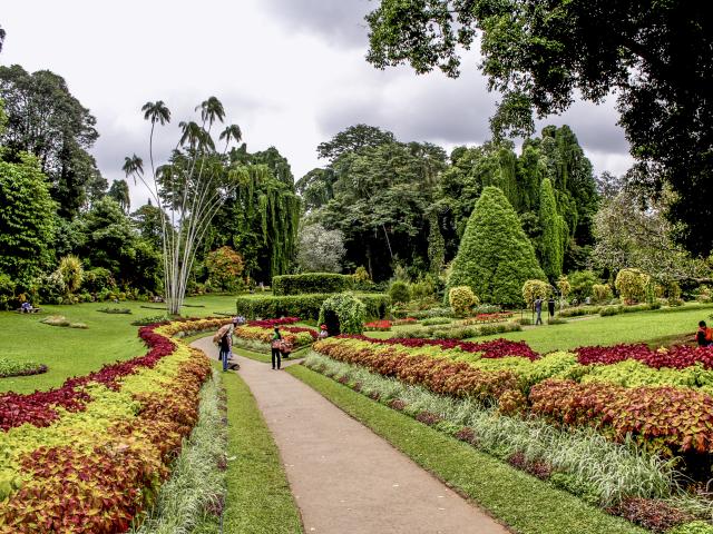 Take a Botanical Gardens tour