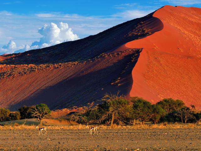 Sossusvlei
