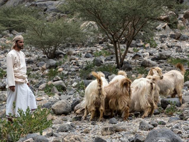 Explore Omani Villages