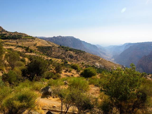 Dana Nature Reserve & Feynan