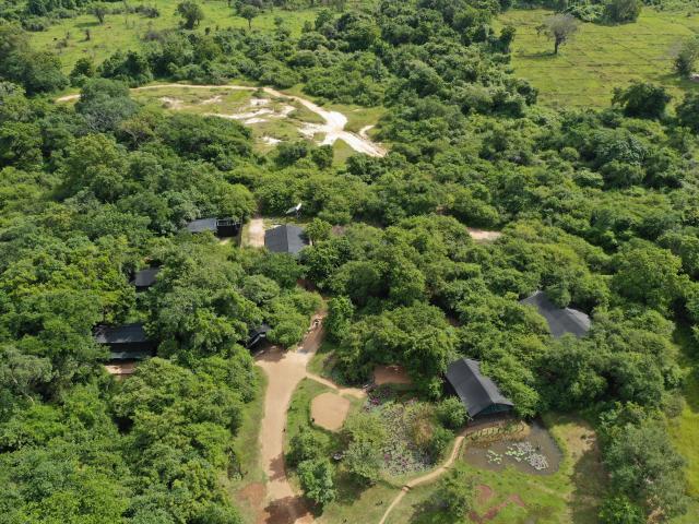Leopard Trails