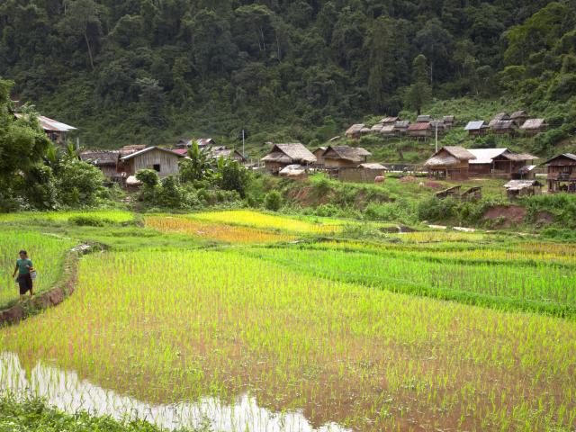 Meet isolated communities