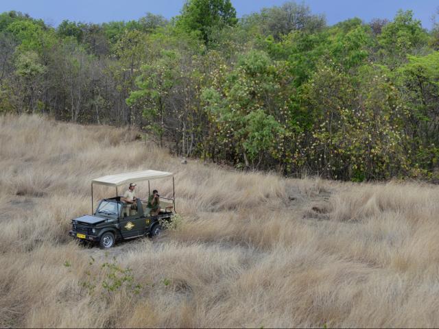 Pench Tree Lodge