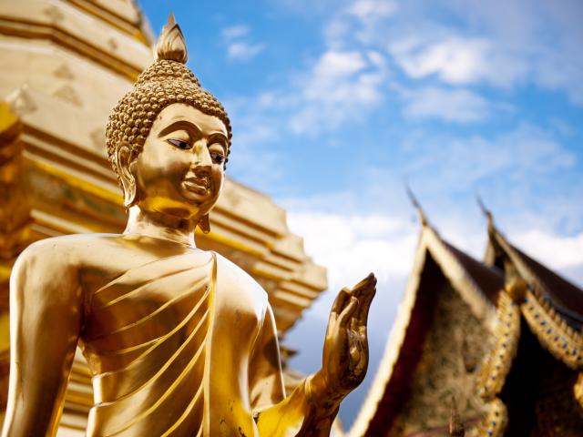 Learn about Buddhism
