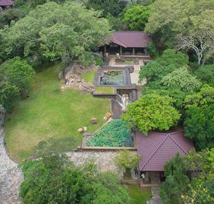 Forest Rock Garden