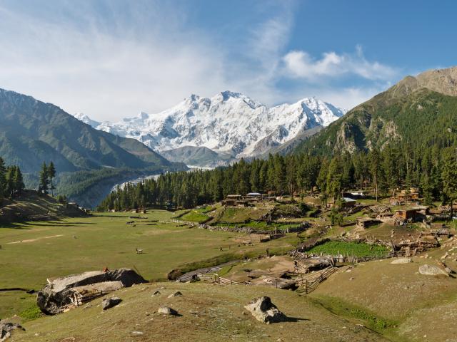 Fairy Meadows