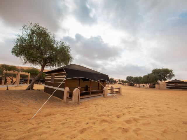 1000 Nights Camp