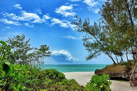 Pongwe Beach Lodge