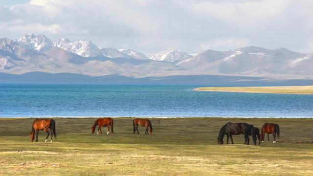 Explore Son Kul Lake area on foot