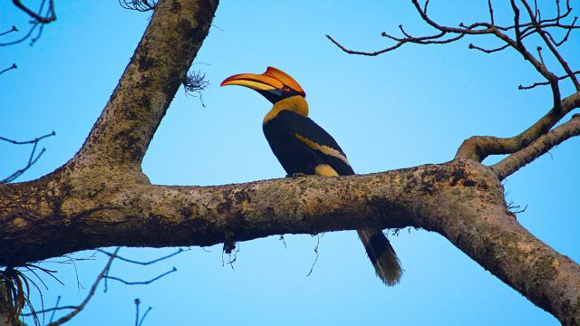Discover a birder's paradise