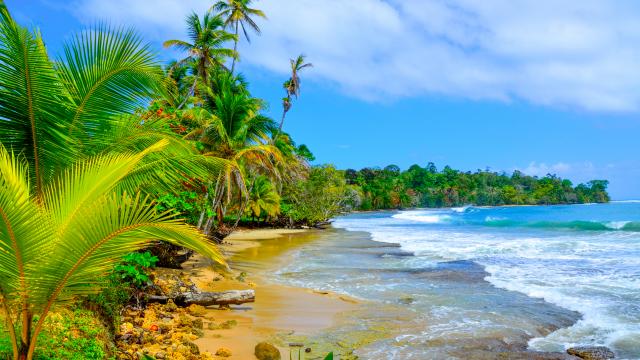 Soak up stunning rainforests and colourful reefs