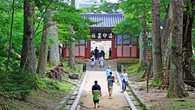 Stay overnight in a traditional Buddhist temple
