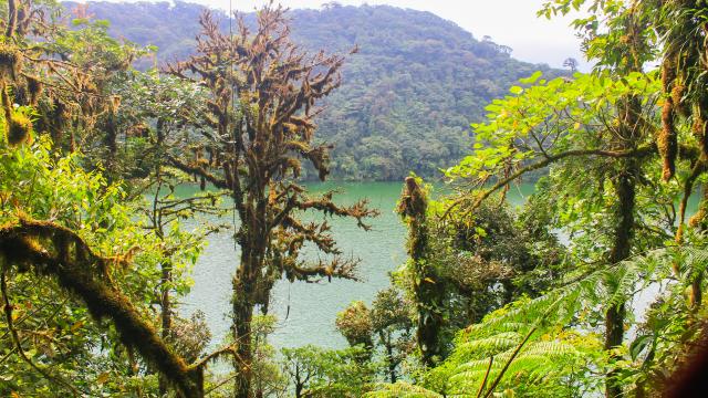 Journey up the Cerro Chato volcano