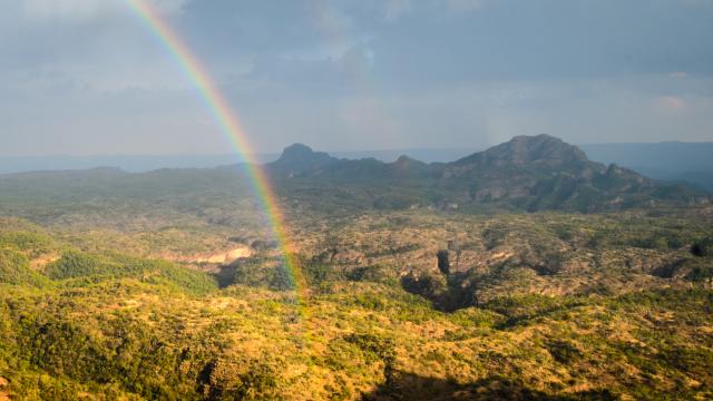 Explore Satpura National Park