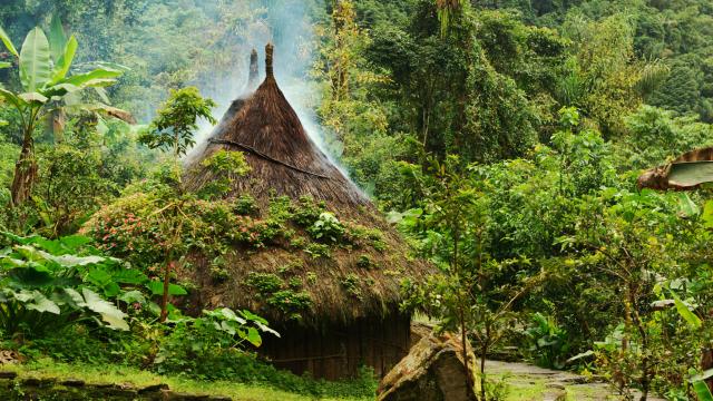 ATTEMPT THE LOST CITY TREK