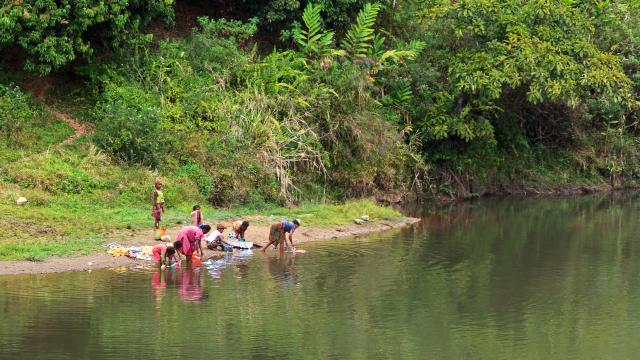 Trek Through Andasibe's Reserves