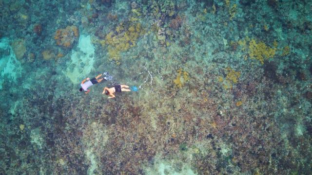 Snorkel around Little Corn Island