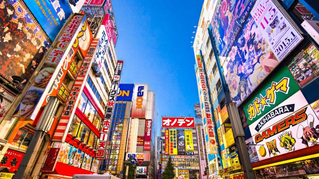 Explore Tokyo at night