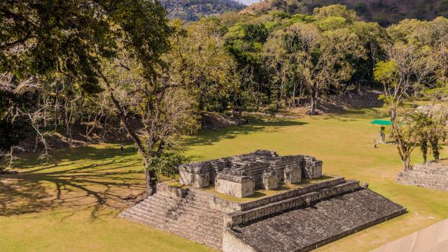 Learn about the Maya at Copan