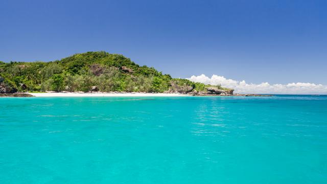 Scuba dive in paradise