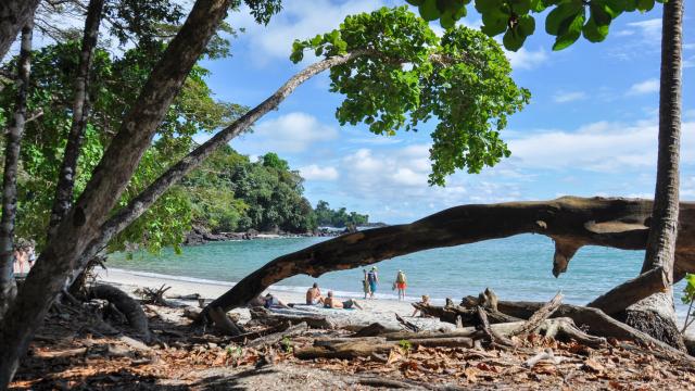 Explore Manuel Antonio National Park
