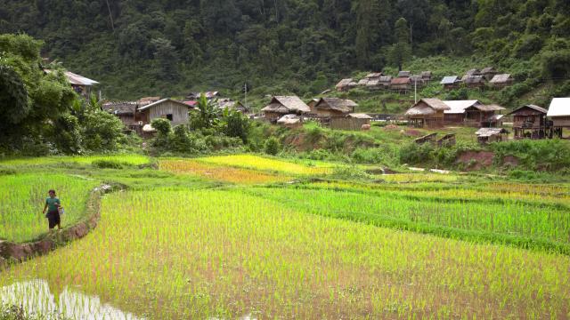 Meet isolated communities
