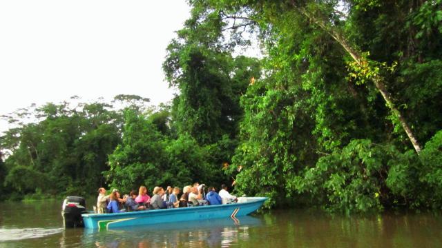 Boat through Tortuguero’s canals