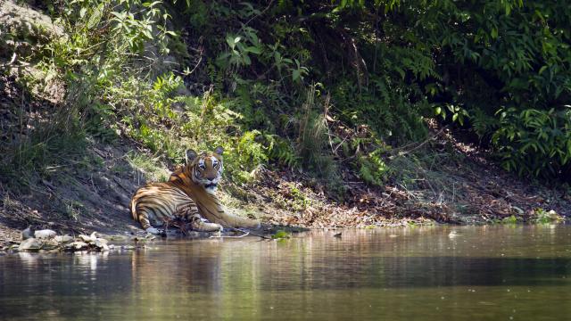 Raft down the Karnali river