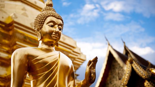 Learn about Buddhism