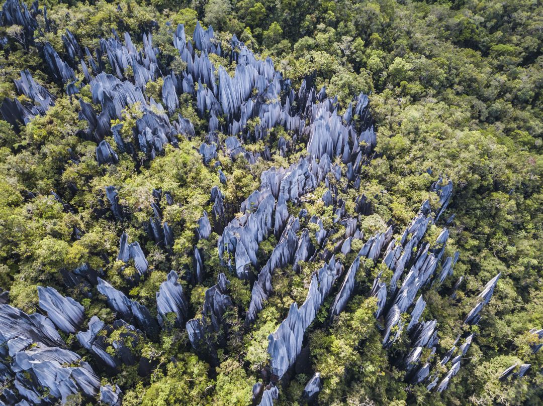Gunung Mulu