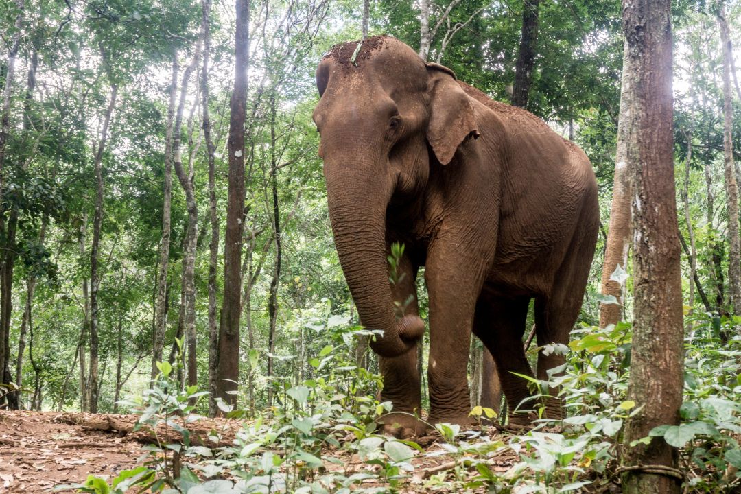 Mondulkiri