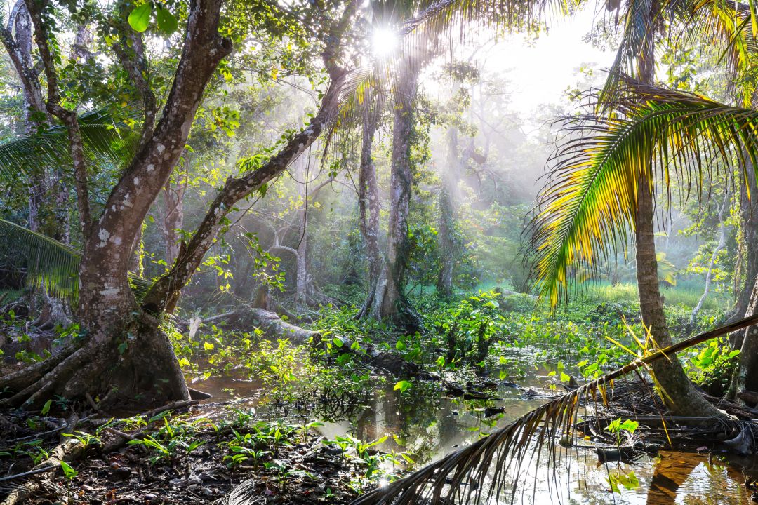 Costa Rica