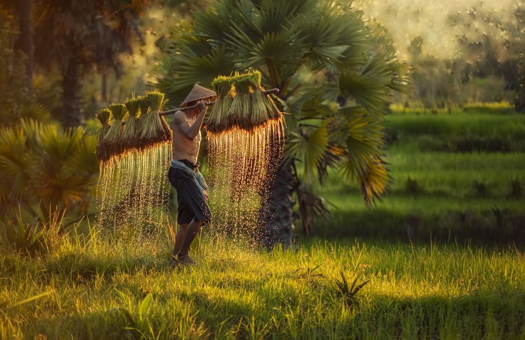 Laos