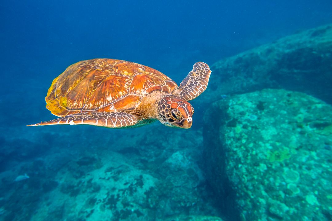 Andaman Islands